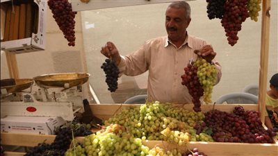 العنب بـ 120 جنيهًا.. أسعار الفاكهة في سوق العبور اليوم