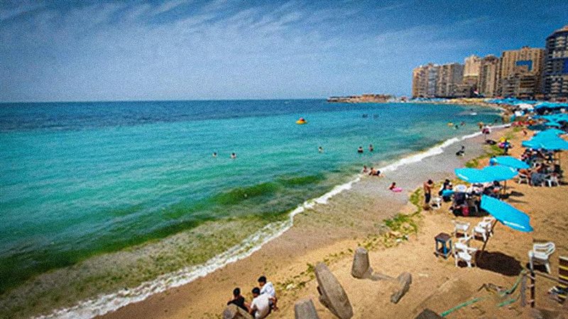 موقع الصفحة الأولى