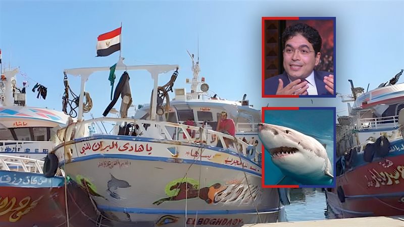 موقع الصفحة الأولى