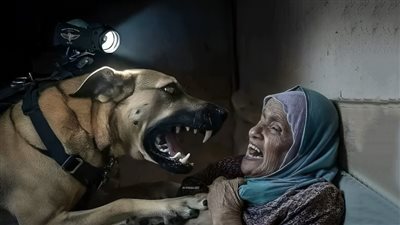 كلب إسرائيلي ينهش مسنة فلسطينية رفضت ترك منزلها لجنود الاحتلال