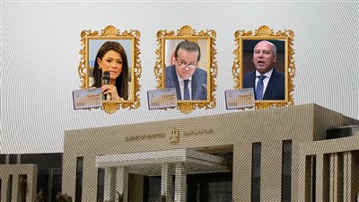 23 وزيراً و 21 نائب وزير غيروا خانة المهنة ببطاقة الرقم القومى