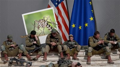 غرب النيل يعلن الحرب على الاحتلال الإسرائيلي وأوروبا وأمريكا  