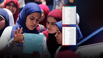 كشوف نتيجة الثانوية العامة بمدرستي الصالحية وديمشلت تكشف تكرار وقائع الغش الجماعي