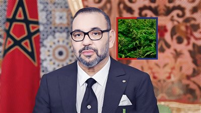 هل قرار العفوعن 5 الاف مزارع 