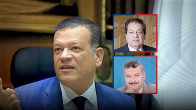 تأييد الحكم ببراءة الكاتب الصحفي أيمن الشندويلي من إزعاج رجل الأعمال محمد أبوالعينين