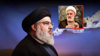 وديعة السيد حسن