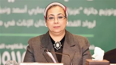 تشكيل المجلس القومى للمرأة برئاسة مساعد وزير العدل لحقوق الأنسان والمرأة والطفل