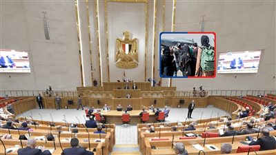 مجلس النواب يوافق من حيث المبدأ على قانون لجوء الأجانب في مصر