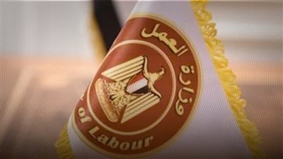 وزارة العمل تعلن عن 4600 وظيفة شاغرة بـ10 محافظات وفرص لذوى الهمم