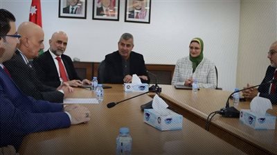 تجديد عقد الربط الكهربائي بين مصر والأردن.. وتمويًلا جديدًا لزيادة قدرته