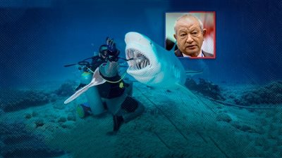 أسماك القرش تعود للهجوم على شواطئ البحر الأحمر.. وساويرس: مراكب الصيد السبب