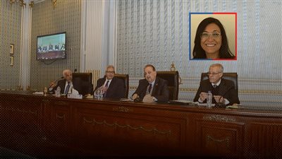 المجلس الأعلى للجامعات يعتمد الدكتورة منى حسين بلجنة التعليم 2025-2028