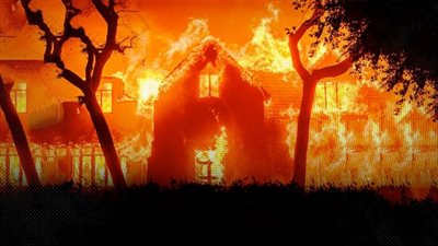 المصريون في كالفورنيا يرون لـ 