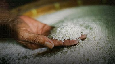 2000 جنيه زيادة في طن الأرز وشعبة المواد الغذائية توضح الأسباب
