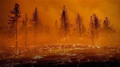 أجبرت السكان على إخلاء منازلهم.. حرائق الأرجنتين تدمر 5700 فدان بغابات باتاجونيا