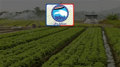 سداد ديون 6 آلاف مزارع على مستوى الجمهورية بمبادرة من «مستقبل وطن»