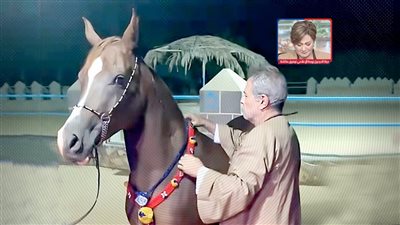 بالصور.. حياة الدرديري تنعي مهرة توفيق عكاشة: من أجمل الخيول في إسطبلاتنا