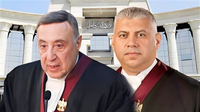 «الدستورية العليا» تعلن تفاصيل اجتماع رؤساء المحاكم الأفريقية في مؤتمر صحفي عالمي   