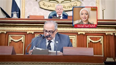 أميرة أبوشقة: منح الورثة حق التصالح في جرائم القتل تأخر 75 عامًا