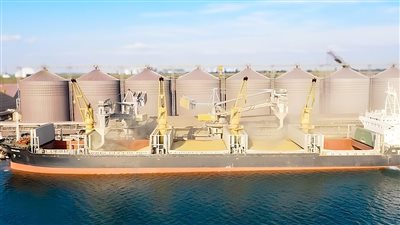 تقرير المعلومات السلعية : إستيراد 1.4 مليون طن قمح خلال 7 أسابيع 