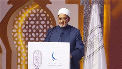 شيخ الأزهر بالأمم المتحدة: نواجه خطابات كراهية تتسلل عبر مواقع التواصل الاجتماعي