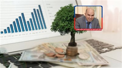 خبير أمن قومى: تنمية الموارد الذاتية العشوائية خناجر مسمومة تهدد استقرار المجتمع