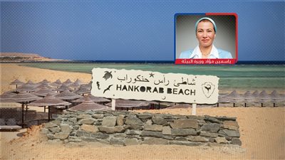 أنقذوا حنكوراب .. شقيق نائب برلماني يستولى على محمية طبيعية بوادي الجمال 