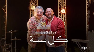   أفضل إعلان.. كيف دخل ماجد الكدواني قلوب المشاهدين بـ«كل سنة وإحنا سوا»؟ 