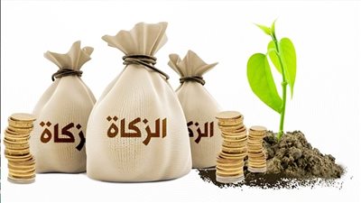 الدكتور محمد خالد القعيد يكتب: معركة الزكاة السنوية