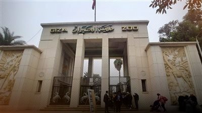 82 % نسبة إنجاز الأعمال في مشروعات تطوير حديقة الحيوان والأورمان