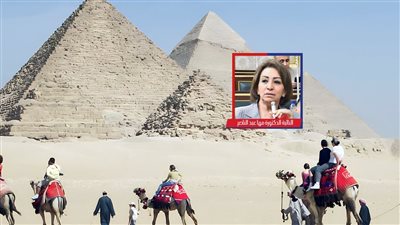 طلب احاطة يتهم الحكومة بسوء إدارة تطوير الأهرامات: مشهد عبثي وفشل إداري 
