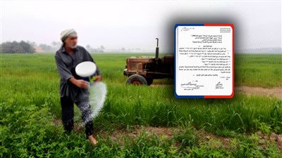«الصفحة الأولى» تنفرد بأسعار الأسمدة الجديدة بعد قرار وزارة الزراعة بزيادتها 