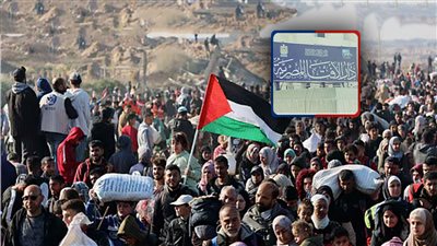 دار الإفتاء ترد على الدعوة للجهاد: تجر مزيدًا من الخراب والتهجير