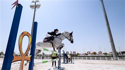 استعدادات مكثفة لاستقبال بطولة العالم العسكرية للفروسية 