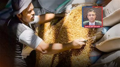 التموين تحاول إغراء الفلاحين بسعر توريد القمح: صرف المستحقات خلال 48 ساعة 