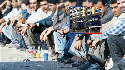 انخفاض البطالة لـ6.6% في 2024.. والزراعة والصيد والتجارة بالمركز الأول للتشغيل