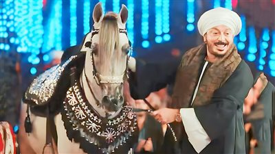 نفوق الحصان مستر جوتشي أسطورة الأدب وصاحب المسيرة الاستثنائية في الخيل العربية