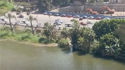 “الصفحة الأولى”ينشر فيديوهات لمشروع ضخم يقوم بصرف مخلفاته على نهر النيل بالمنيل