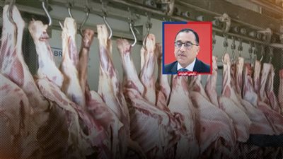 الحكومة تطرح 6 آلاف رأس ماشية و10 آلاف طن لحوم مجمدة 
