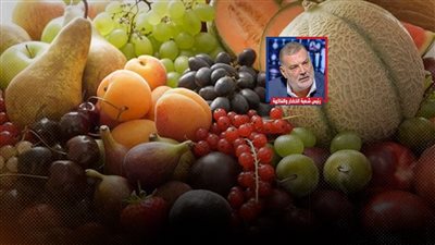 زيادة أسعار فواكه الصيف بنسبة 62 % و2 كيلو المشمش بـ300 جنية