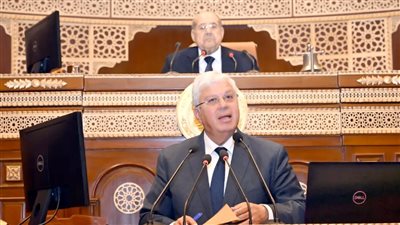 نائب ينتقد وزير التعليم العالي: لا نعرف الفرق بين «أيمن عاشور» و«إمام عاشور»