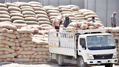 غلق مراكز تجميع القمح في المحافظات بسبب انخفاض الكميات الموردة 