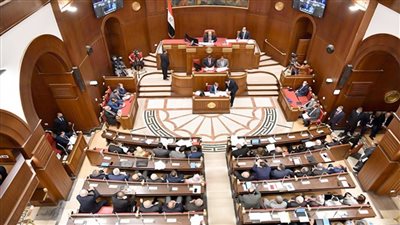 حظر الترشح لانتخابات مجلس الشيوخ علي 11 فئة قبل تقديم استقالتهم 