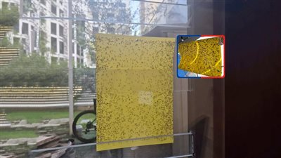 الذباب المصري يغزو إسرائيل ورعب من بكتيريا خطيرة تسبب الأمراض الهضمية والتنفسية