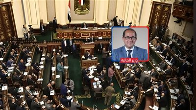 مجلس النواب يشترط موافقة «المالية» لإضافة خريجي العلوم الصحية لـ«المهن الطبية»