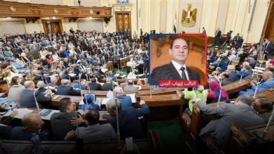 عضو «تشريعية النواب»: البرلمان مستمر حتى يناير 2026.. و3 قوانين في انتظار المناقشة