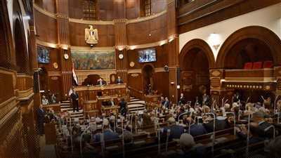 انتخابات مجلس الشيوخ.. 