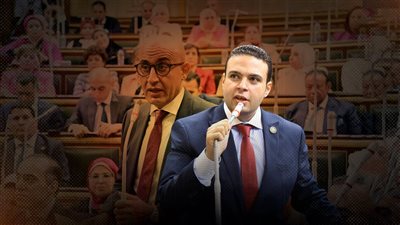 «شهرة الراقصات» تثير أزمة داخل مجلس النواب وتفتح باب الهجوم على الوزير  