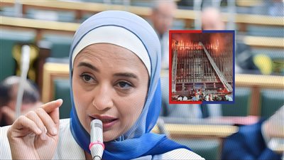 نائبة برلمانية: الحكومة «صفر» في إدارة الأزمات فكيف تواجه كارثة طبيعية؟