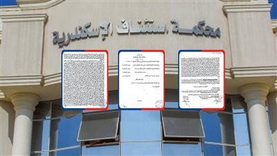 استئناف الإسكندرية: زيادة سعر المتر لصالح المستثمر العقاري بسبب فرق العملة 